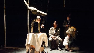 Photo of Театры с элементами цирка